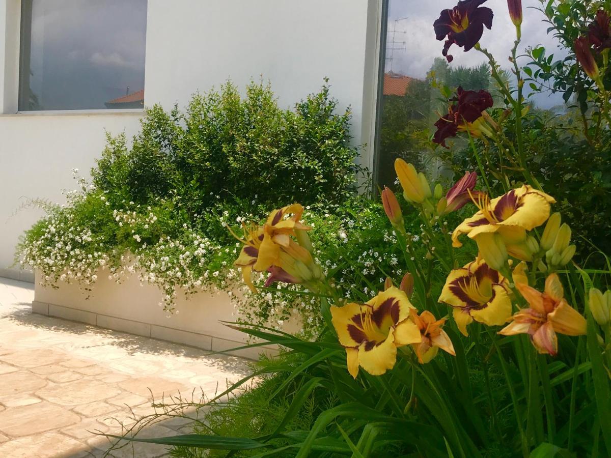 Aparthotel Path House - Etna & Sea View Riposto Esterno foto